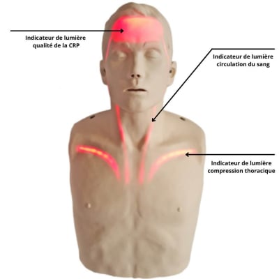 Indicateurs de lumières mannequin Brayden